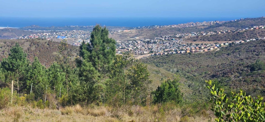 3 Bedroom Property for Sale in Rheeboksfontein Western Cape